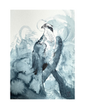 study 4