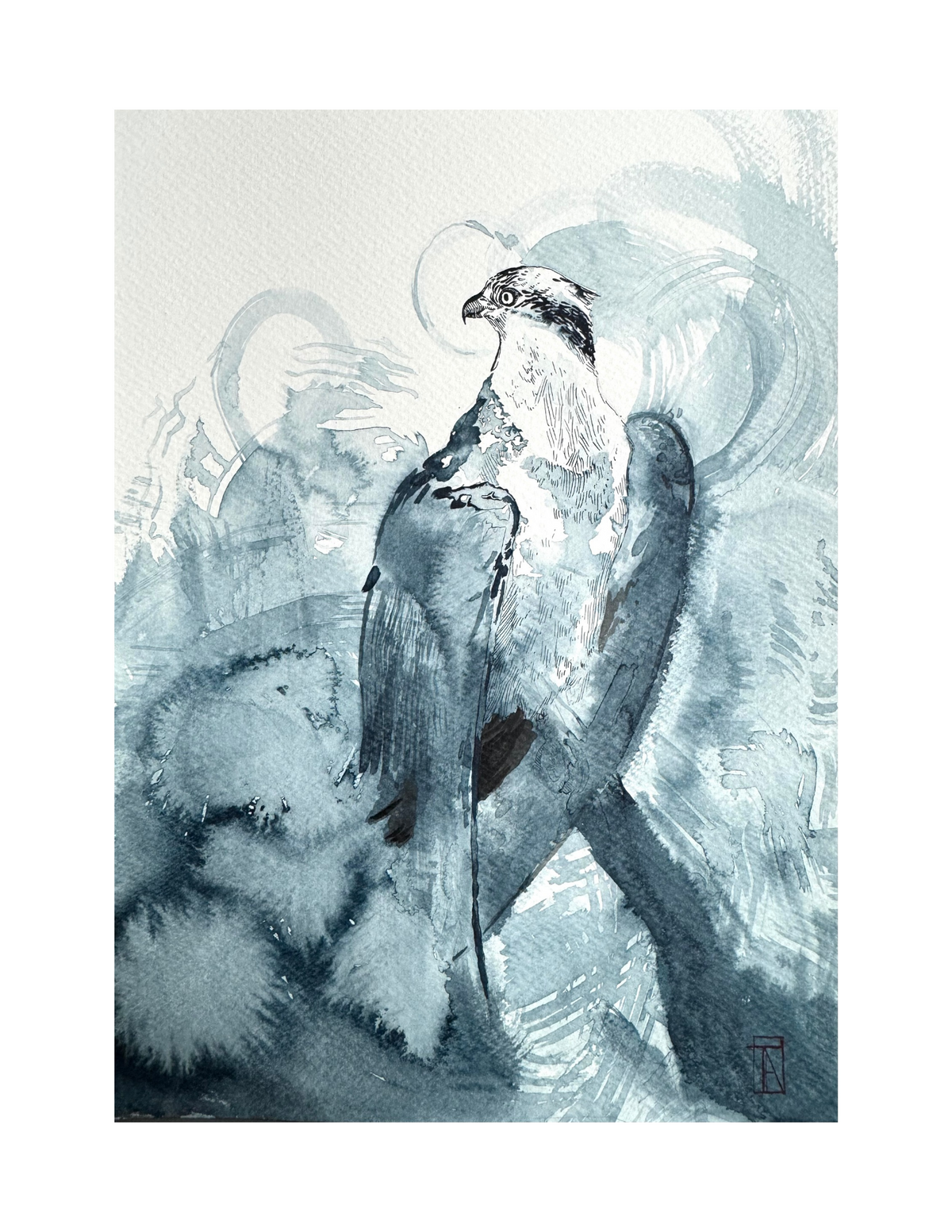 study 4
