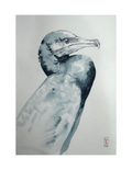 study 8