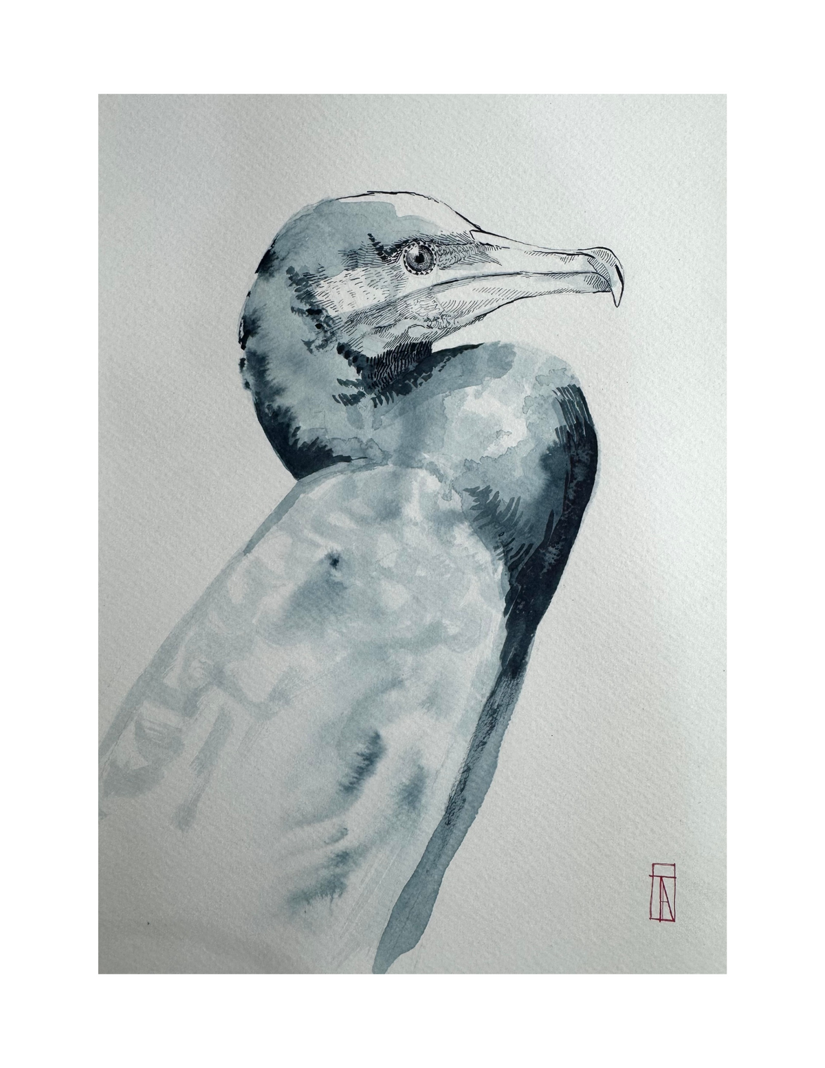study 8